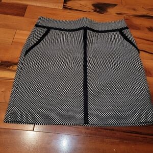 Ann Taylor Loft Skirt